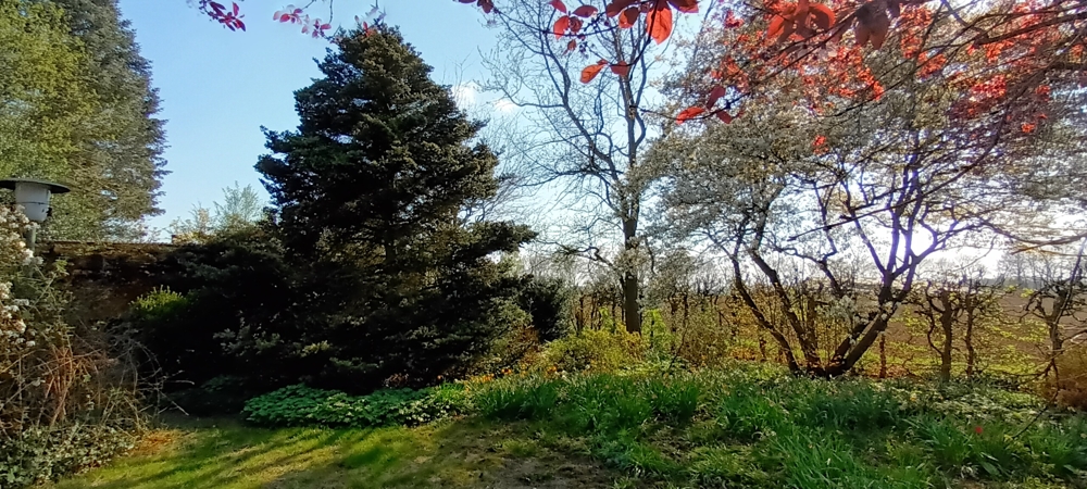 Garten (9) Erdgeschosswohnung Siedenburg