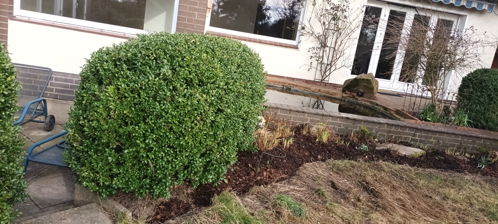 Garten (2) Erdgeschosswohnung Siedenburg