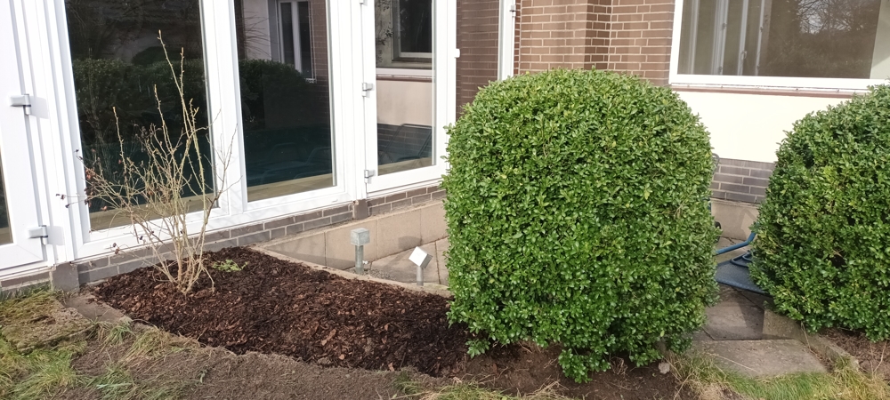 Garten (3) Erdgeschosswohnung Siedenburg