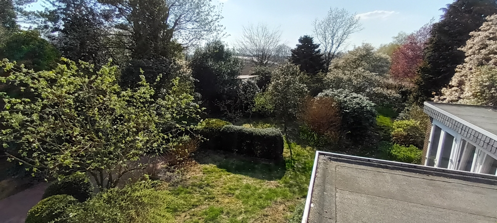 Garten (4) Erdgeschosswohnung Siedenburg